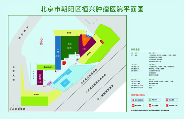 青云网草逼视频北京市朝阳区桓兴肿瘤医院平面图